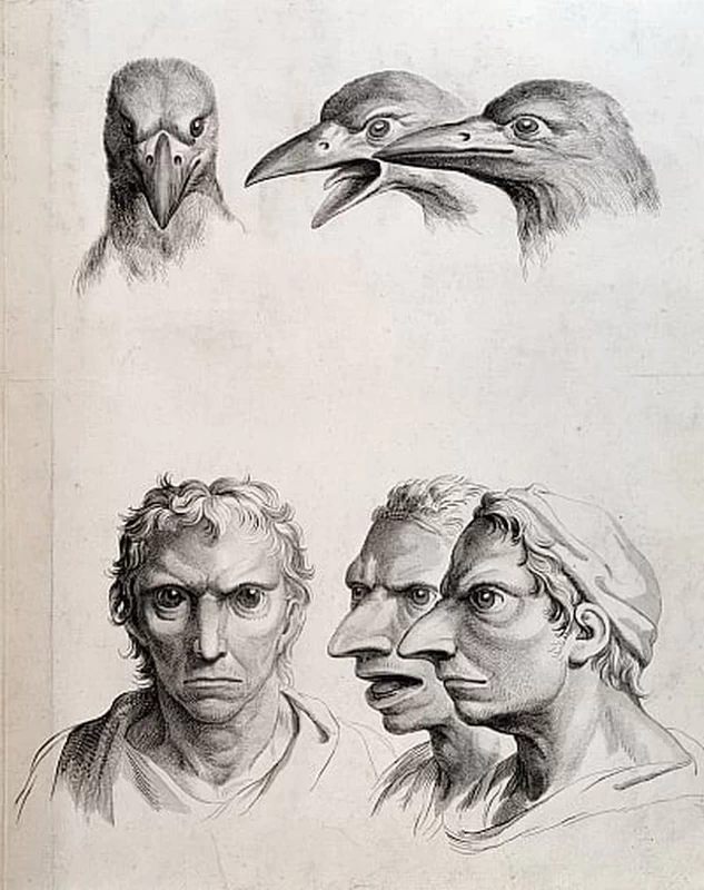 Teste fisiognomiche ispirate a animali - Musée du Louvre, Paris